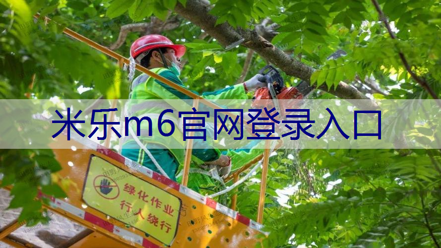500平米园林景观设计