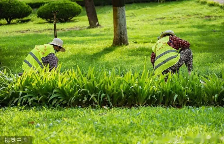 米乐：成都华润昆仑御实地探房-华润昆仑御质量、绿化、物业服务如何？