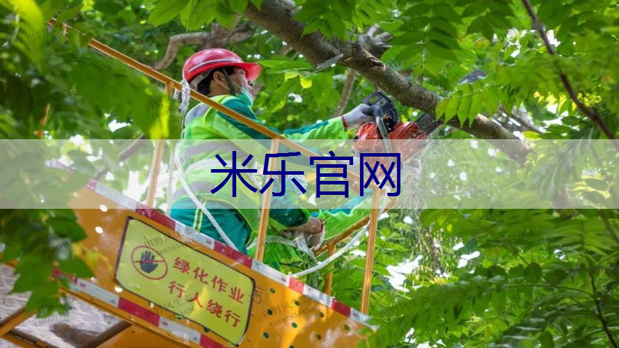 米乐官网：成都华润昆仑御实地探房-华润昆仑御质量、绿化、物业服务如何？