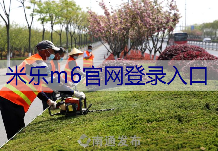 米乐：绿化工程龟背竹的种植密度