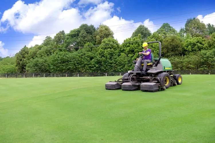 汤阴新城国际5期绿化工程