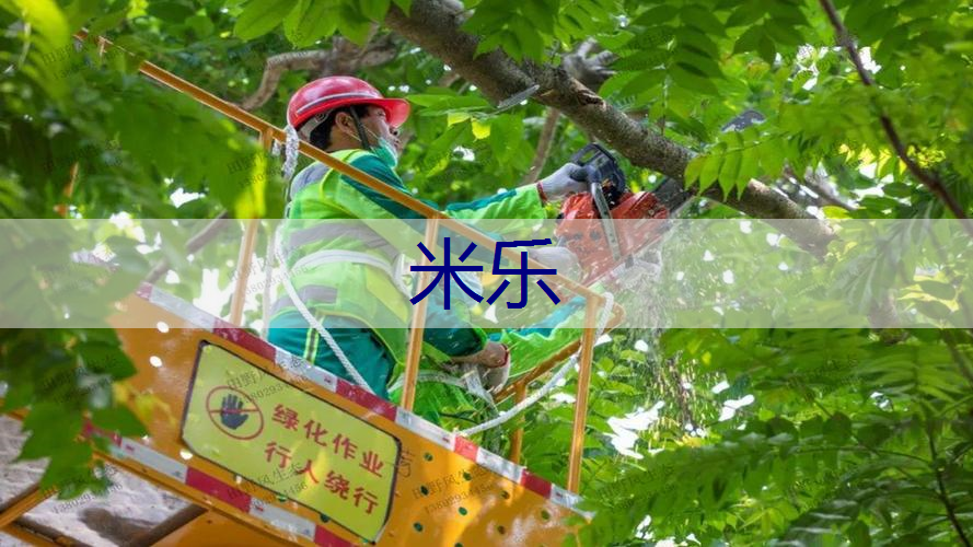 别墅园林景观设计北欧风