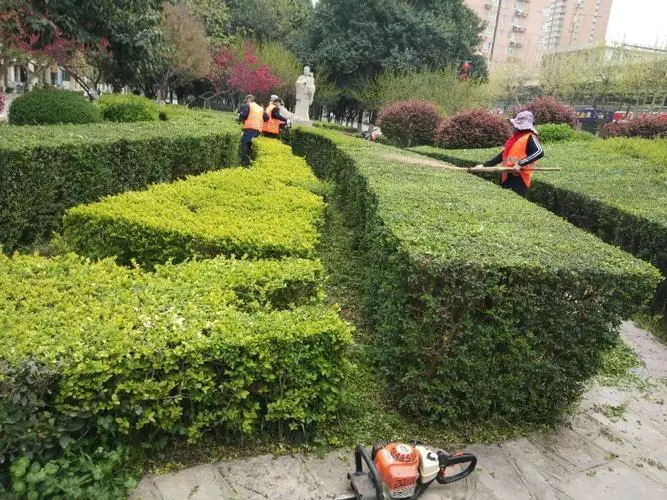园林景观绿化工程概算指南